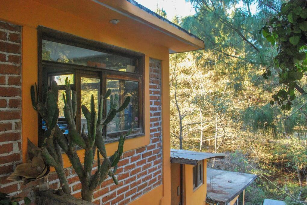 Hostal Casa 4 Estaciones, Coliving & Nature ซานกริสโตบัล เด ลาสกาซาส ภายนอก รูปภาพ