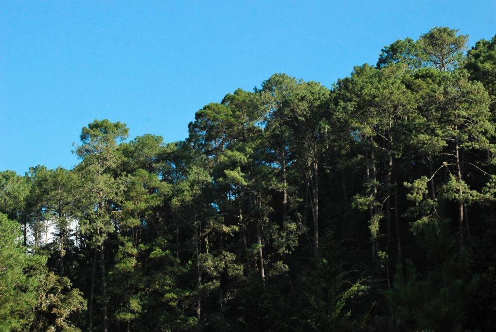 Hostal Casa 4 Estaciones, Coliving & Nature ซานกริสโตบัล เด ลาสกาซาส ภายนอก รูปภาพ
