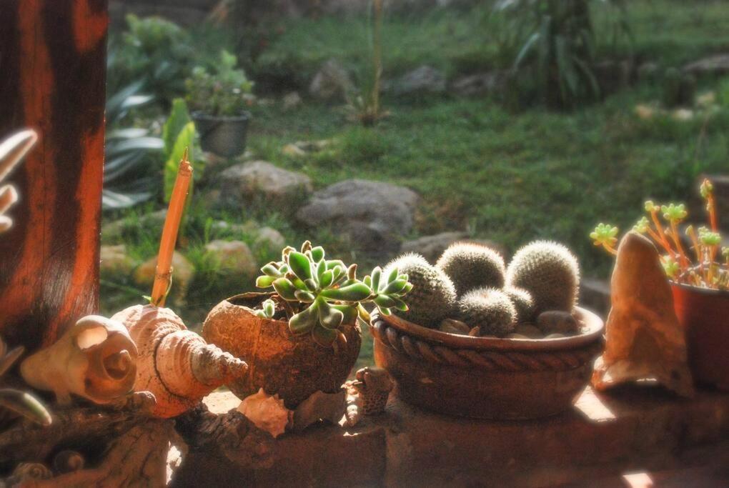 Hostal Casa 4 Estaciones, Coliving & Nature ซานกริสโตบัล เด ลาสกาซาส ภายนอก รูปภาพ